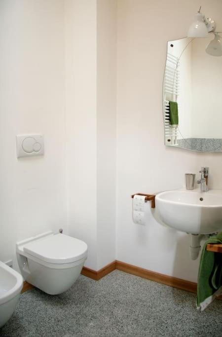 Lovely Apt In Pinzolo Val Rendena 7 المظهر الخارجي الصورة